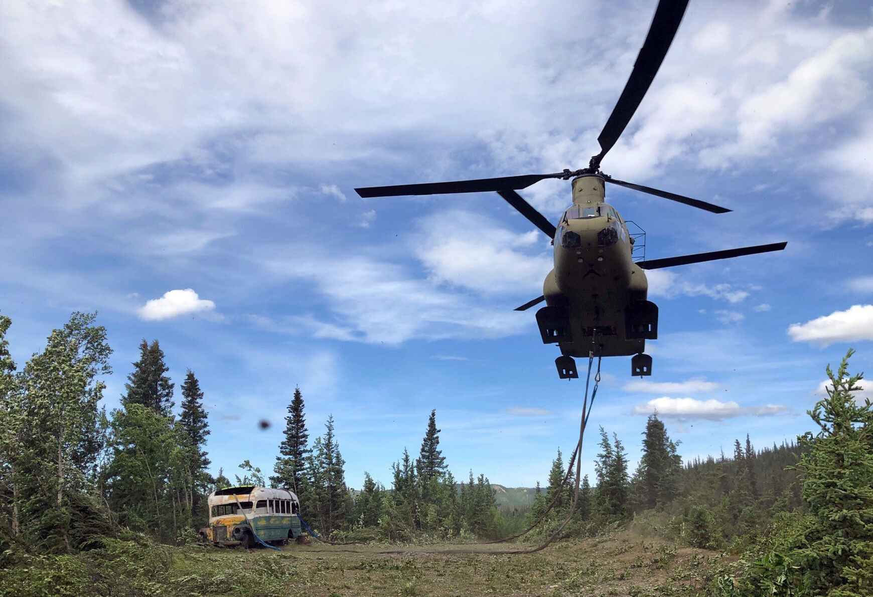 2020: "Into The Wild